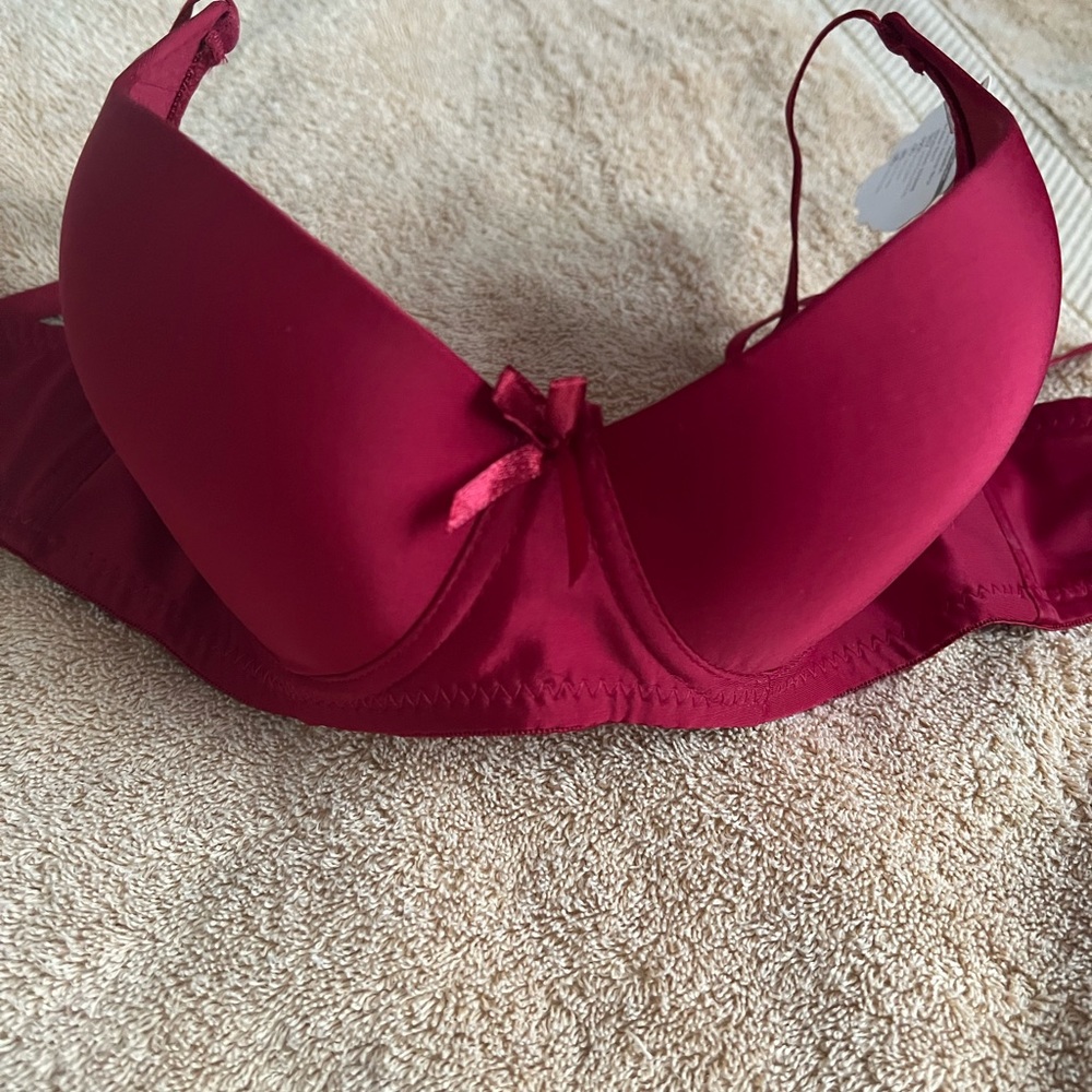 Brand new with tags bra 34c